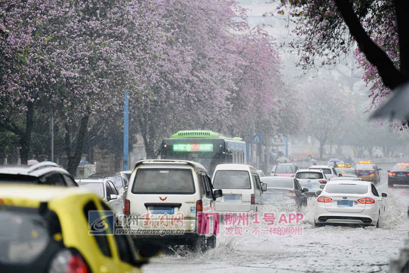 暴雨预警！柳州市区或出现20至30毫米强降雨，三中路积水严重！