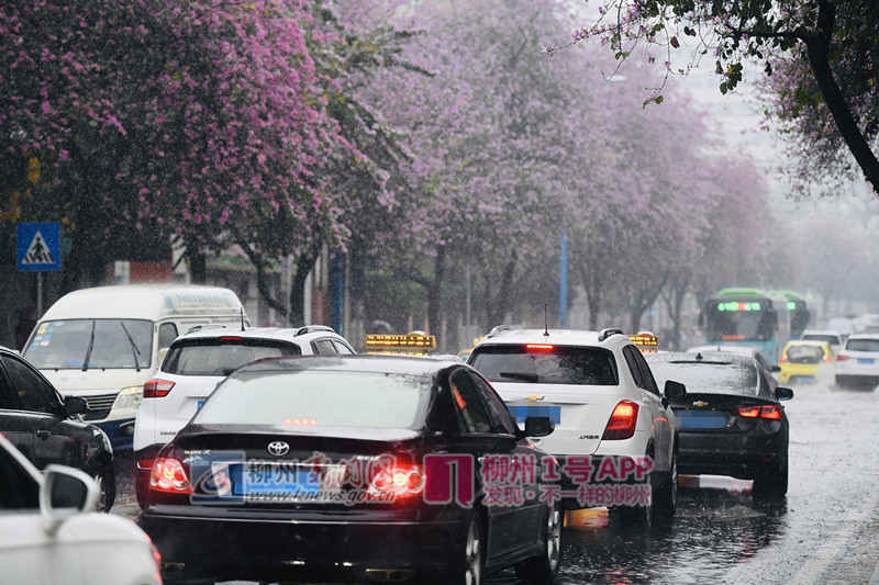 微信图片_20190415104613.jpg 微信图片_20190415104613.jpg