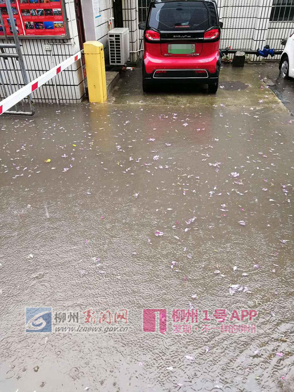 微信图片_20190415102823.jpg 微信图片_20190415102823.jpg
