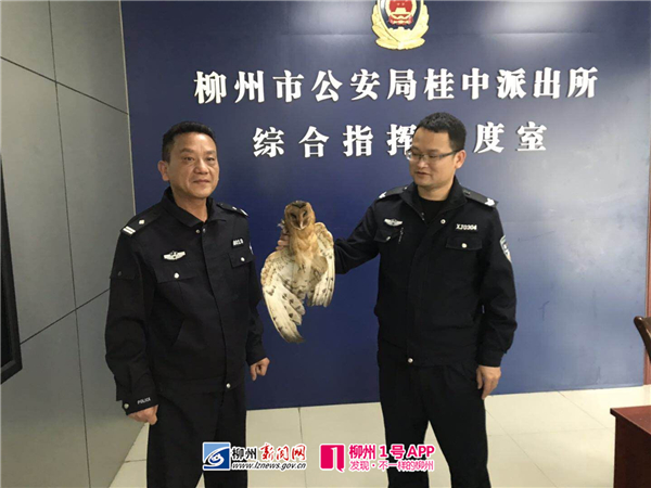 微信图片_20190415135308.jpg