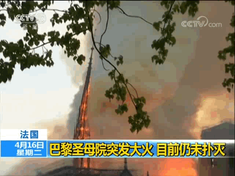 微信图片_20190416083730.gif