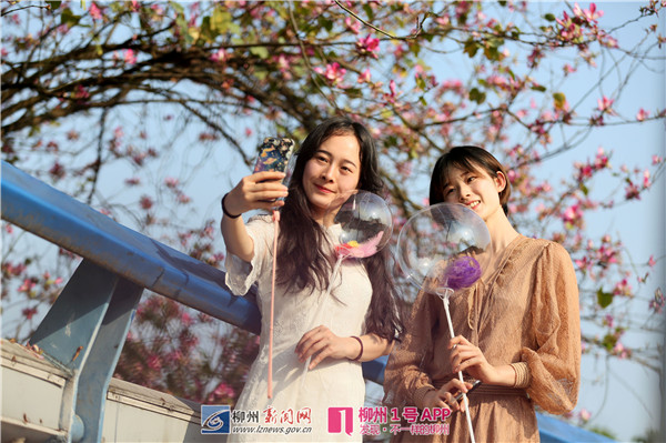 微信图片_20190416194926.jpg