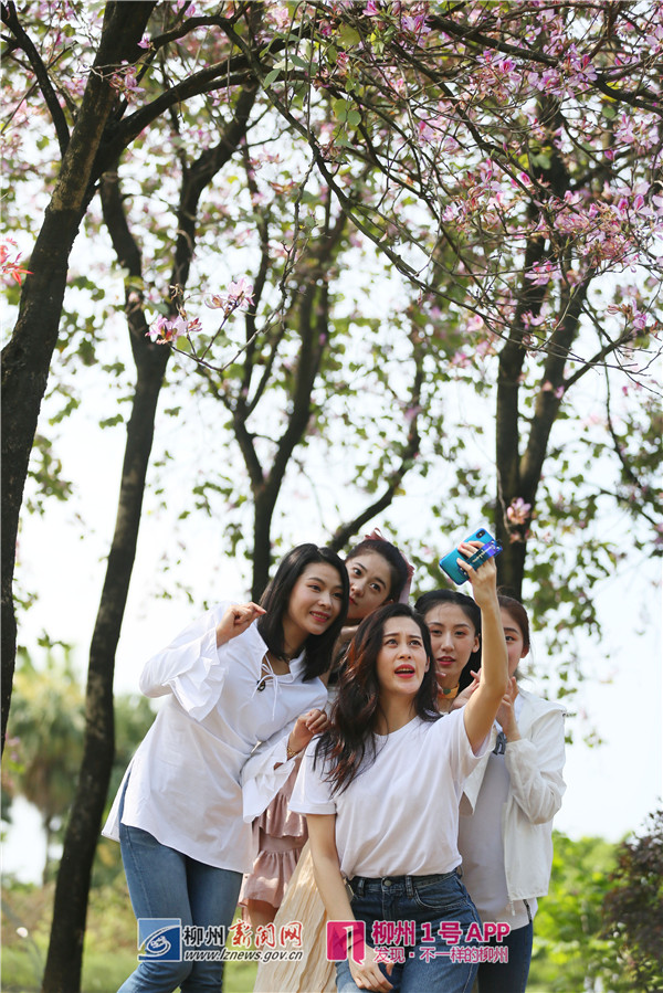微信图片_20190416194931.jpg