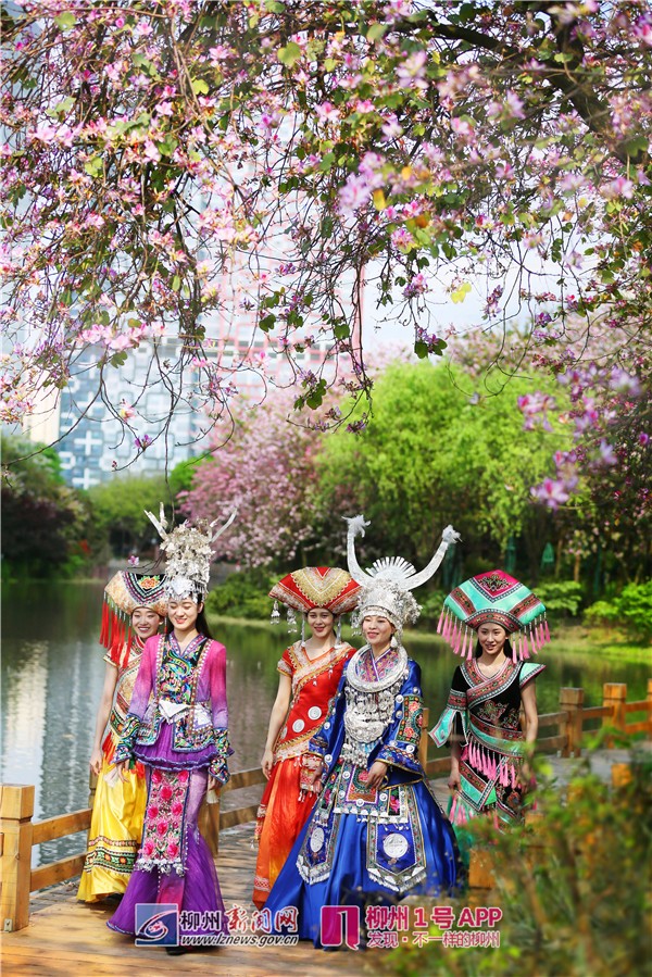 微信图片_20190416194950.jpg