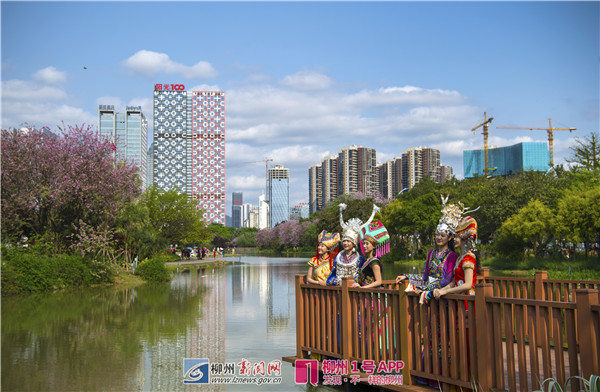 微信图片_20190416194955.jpg
