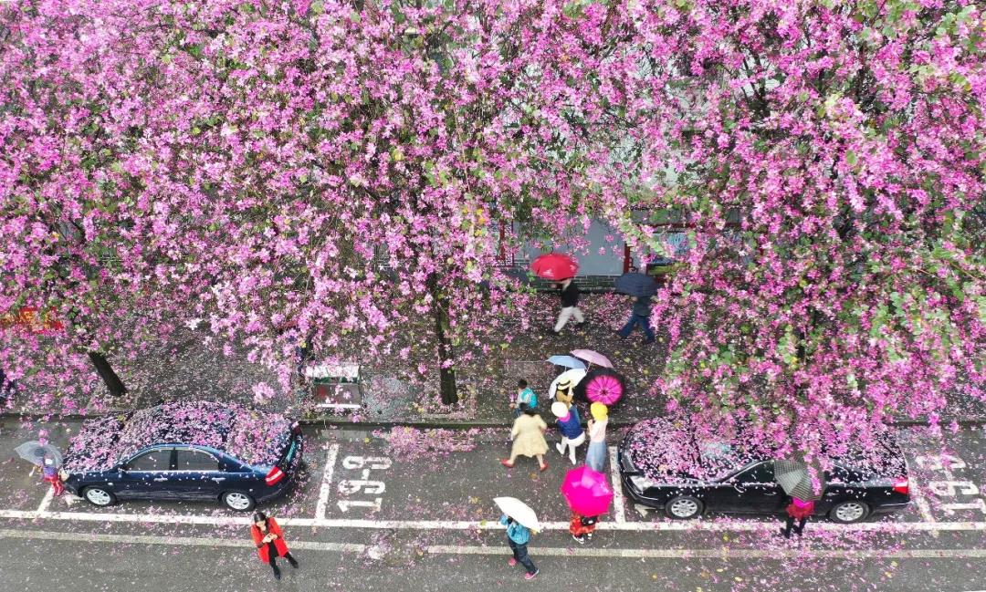 《当代广西》用万余字篇幅点赞柳州：向宜居之城蝶变