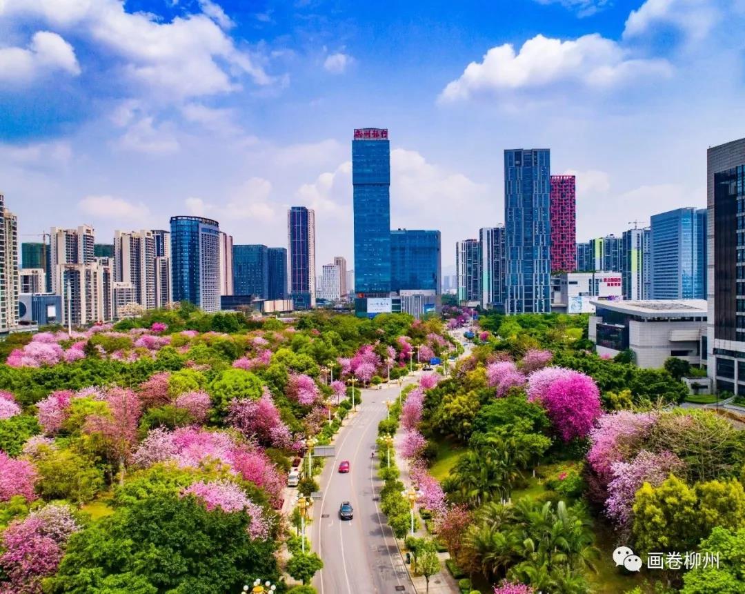 微信图片_20190416220045.jpg 微信图片_20190416220045.jpg