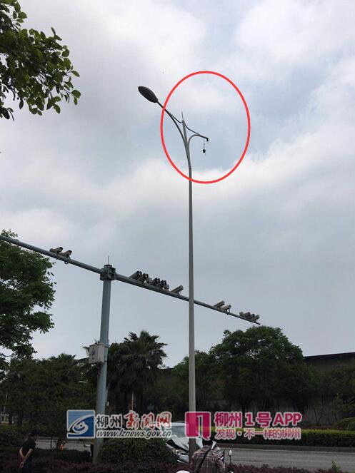 55.jpg 55.jpg