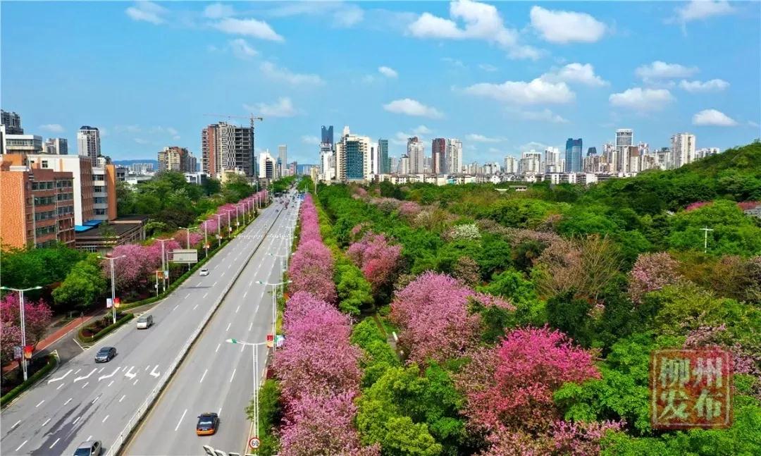 微信图片_20190418144954.jpg 微信图片_20190418144954.jpg