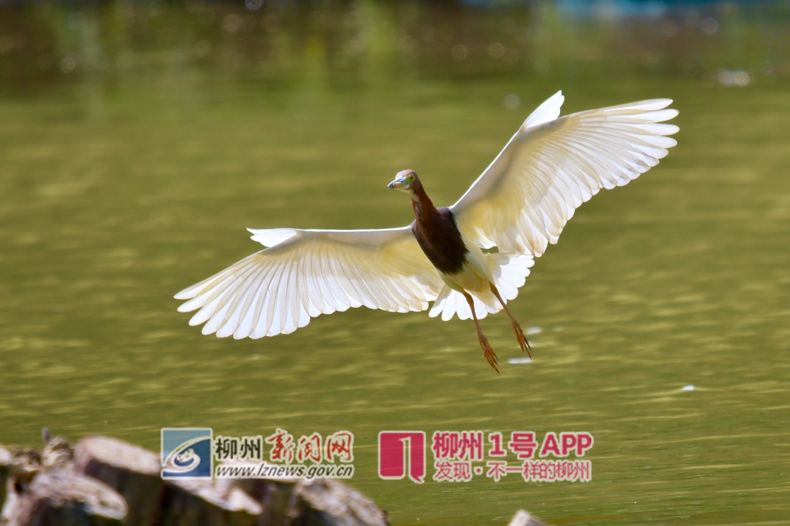 微信图片_20190418155348_副本_副本1.jpg 微信图片_20190418155348_副本_副本1.jpg
