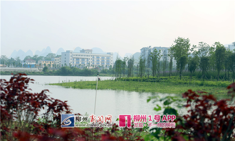 微信图片_20190420103050.jpg 微信图片_20190420103050.jpg