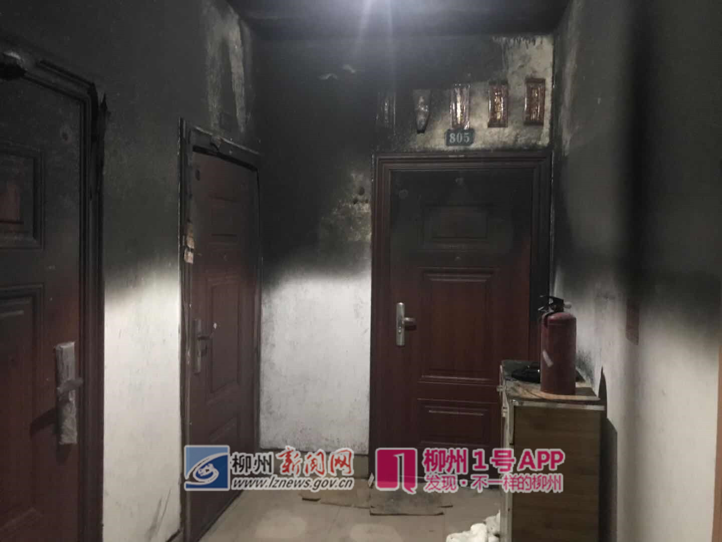 微信图片_20190421181915_副本.jpg