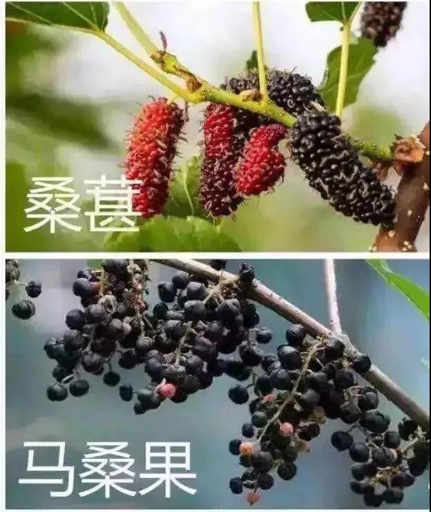 微信图片_20190421205605.jpg 微信图片_20190421205605.jpg