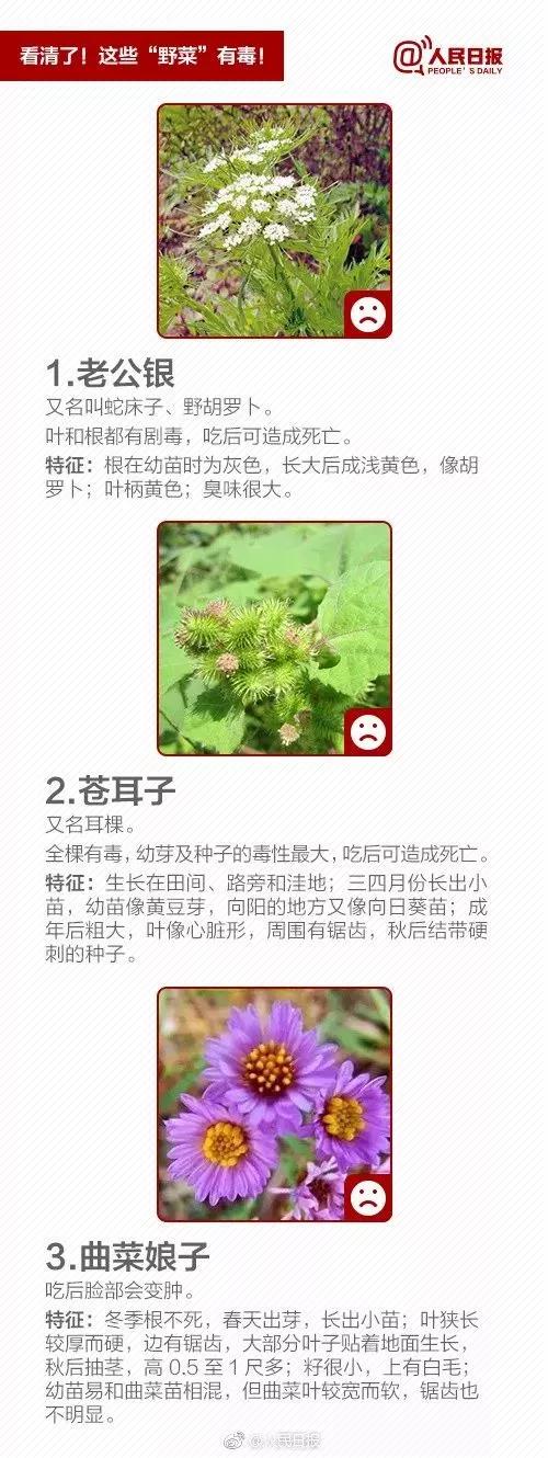 微信图片_20190421205732.jpg