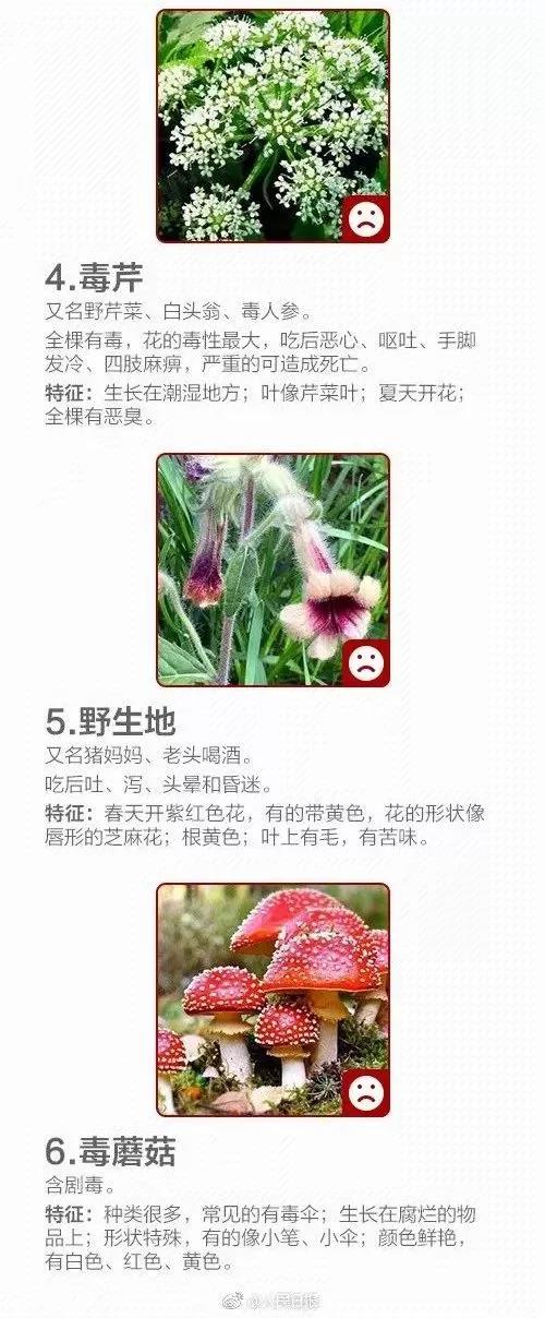 微信图片_20190421205743.jpg
