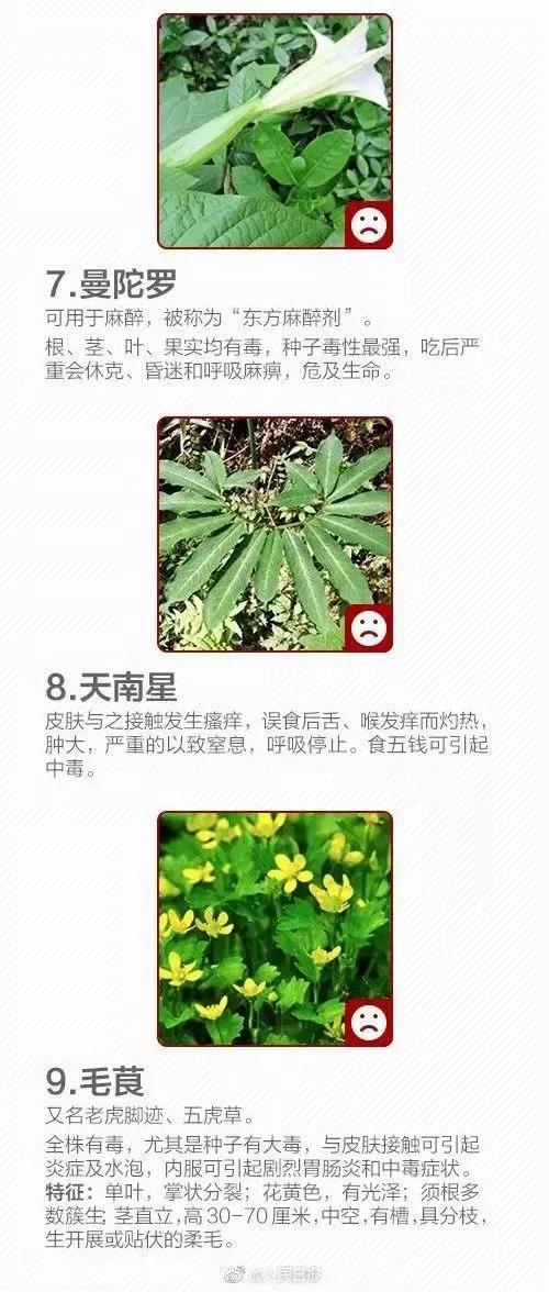 微信图片_20190421205747.jpg