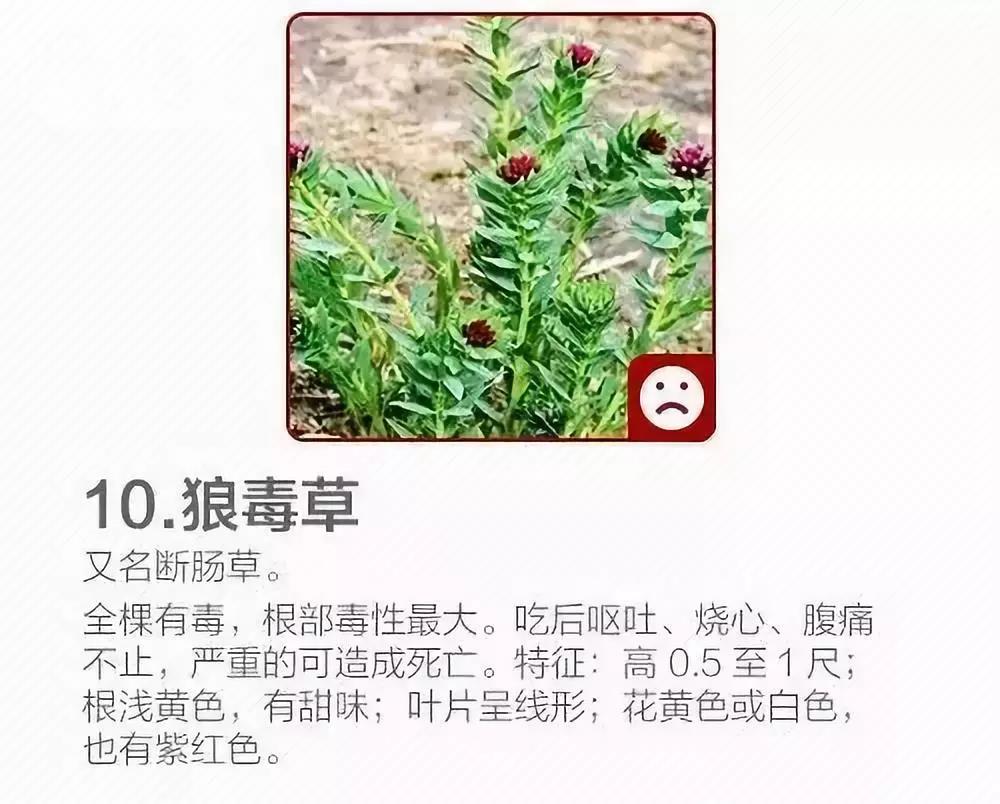 微信图片_20190421205751.jpg