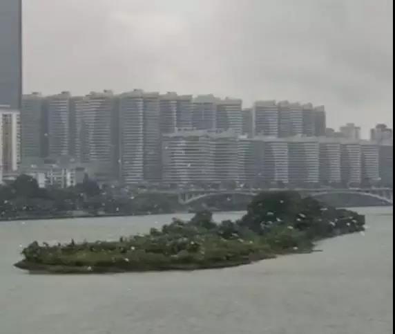微信图片_20190422145743.jpg 微信图片_20190422145743.jpg