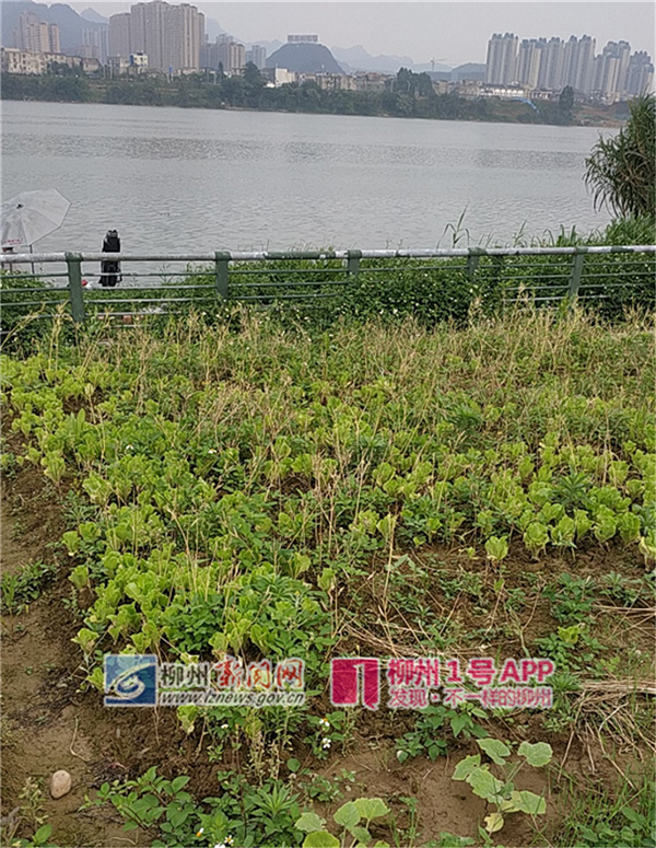 微信截图_20190422212739.png 微信截图_20190422212739.png