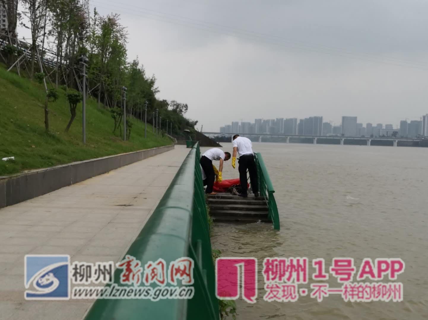 痛心，柳江河浮起一名少年的遗体，为四天前溺水失踪的中学生