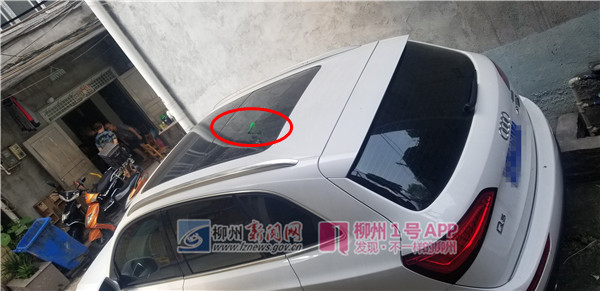 微信图片_20190424193035.jpg 微信图片_20190424193035.jpg