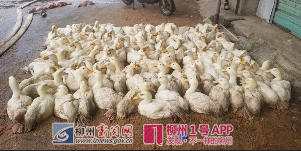 微信截图_20190425105508.png 微信截图_20190425105508.png