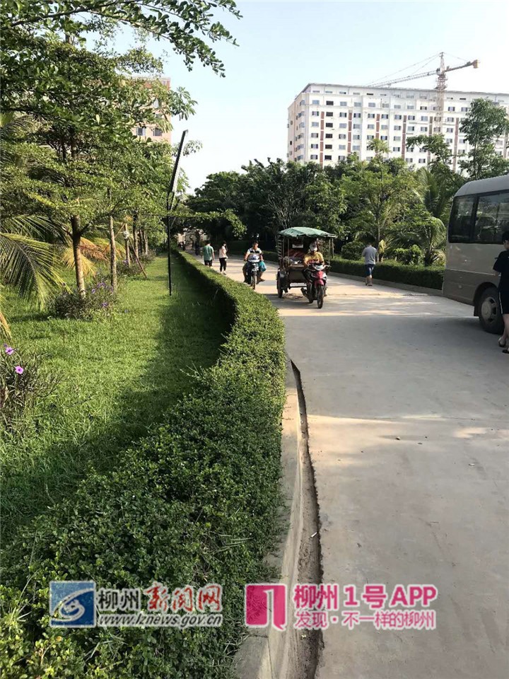 55.jpg 55.jpg
