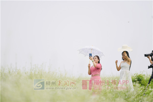 微信图片_20190425184616.jpg