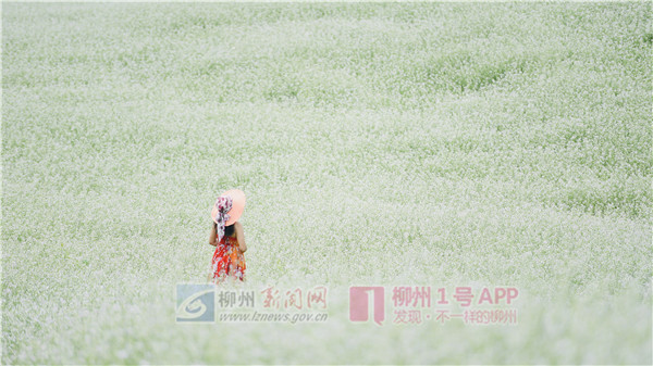 微信图片_20190425191108.jpg