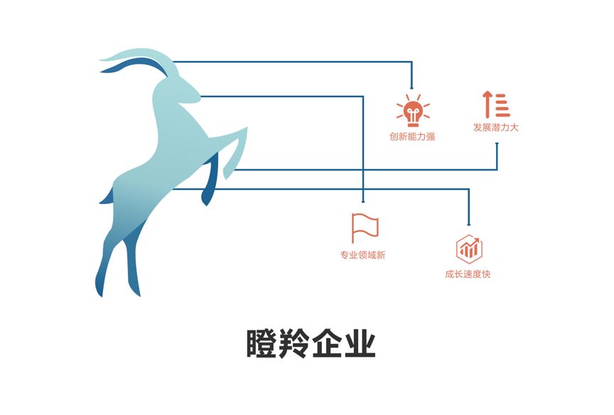 借助好政策实现跳跃式发展 我市“瞪羚企业”数量排名全区第一