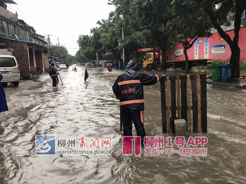 微信图片_20190427104721.jpg