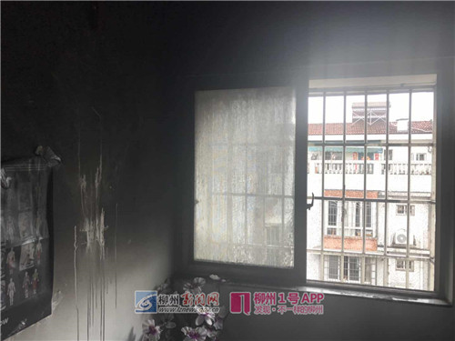 微信图片_201904301203262.jpg 微信图片_201904301203262.jpg