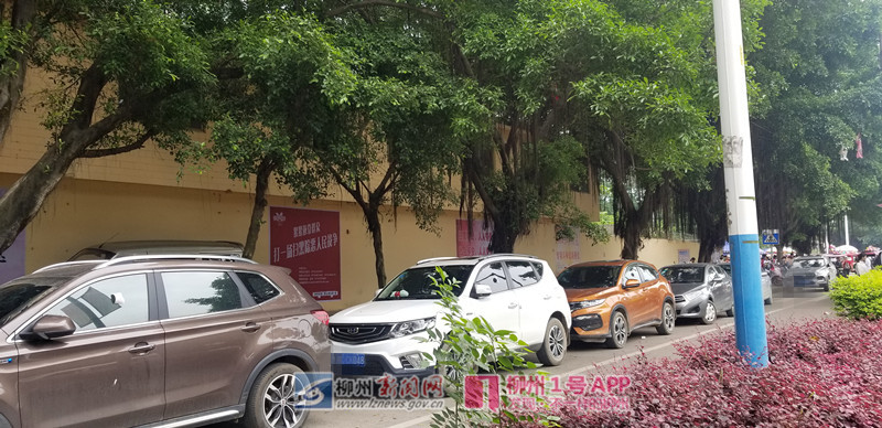 蹊跷！在柳州动物园附近交了停车费，车主却仍被贴了违停单