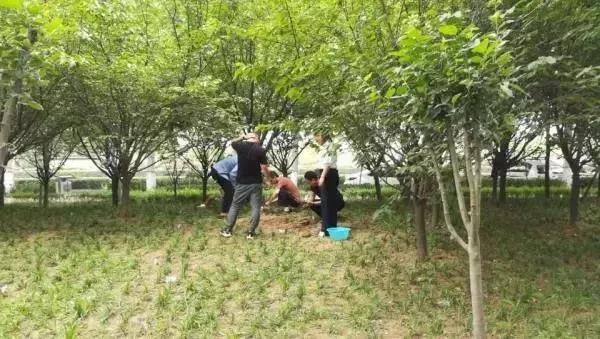 微信图片_20190519121224.jpg 微信图片_20190519121224.jpg