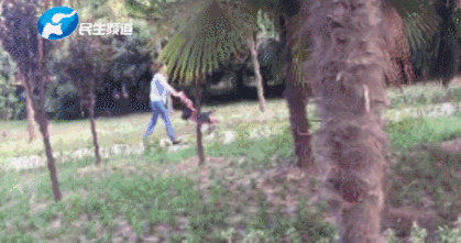 微信图片_20190519121345.gif 微信图片_20190519121345.gif