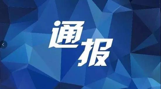 2019年1-5月全市查处违反中央八项规定精神问题31起