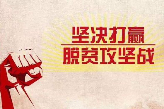 是兵又是将 致富奔小康——导江乡黄坭村脱贫户创建合作社小记