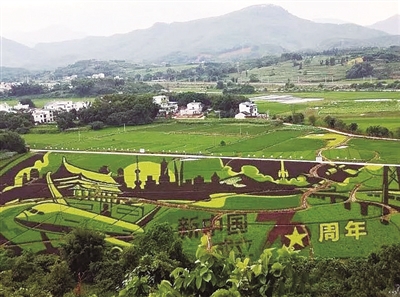 现代农业风生水起 农村变化翻天覆地——鹿寨县农业农村发展历史性成就回顾