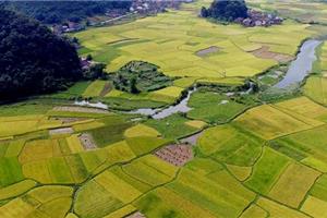 柳州美丽乡村