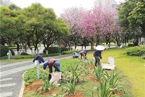 园丁呵护绿树花草