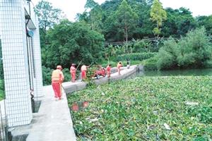清掉193立方米水葫芦