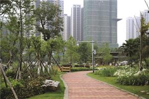 天山公园初步成型