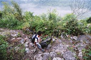 大山深处的求学梦