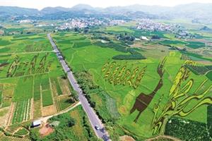 打造“最美赛道”