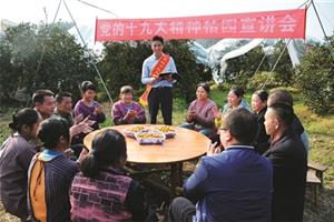 桔园宣讲 硕果枝头