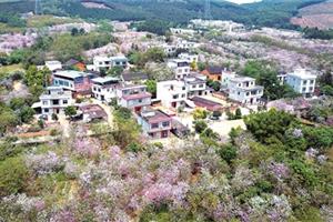 2018年，遇见不一样的柳北